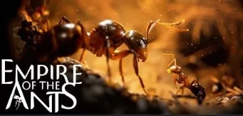 《蚂蚁帝国》中文学习版v1.03.20053- 关先生资源站