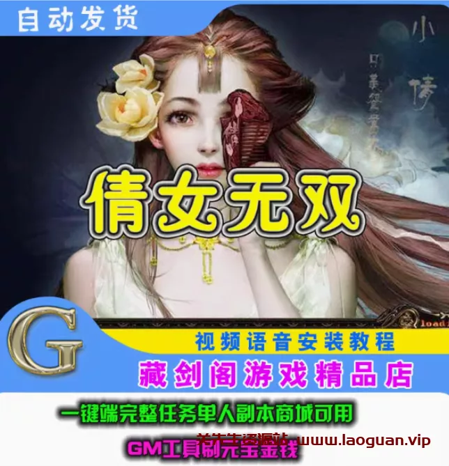 《倩女无双》虚拟机一键端，倩女幽魂OL服务端（页游）- 关先生资源站