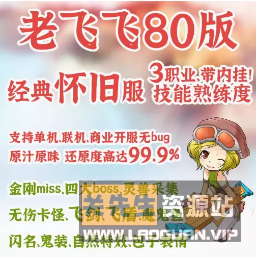 《老飞飞》80级怀旧版带GM后台一键端怀旧Q版网游单机- 关先生资源站