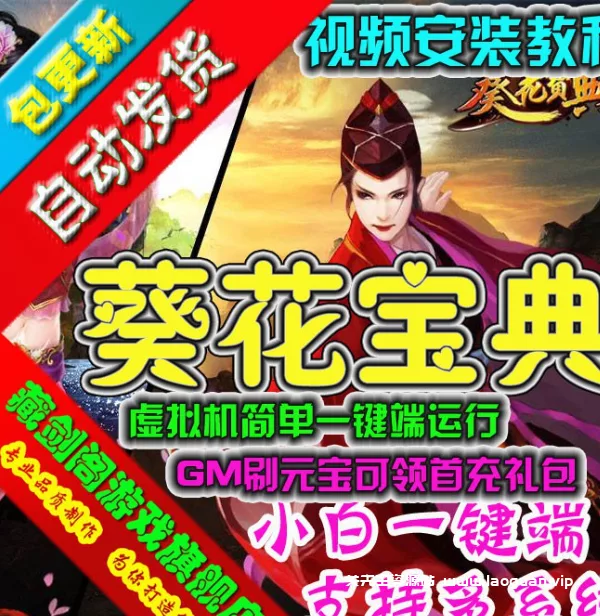 《葵花宝典》武侠风虚拟机一键端游戏（页游）- 关先生资源站