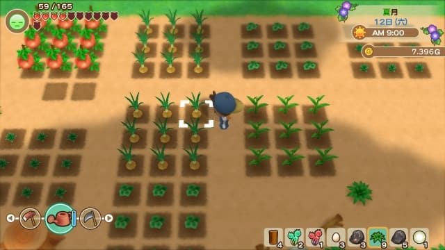 图片[5]- 【Switch】牧场物语：重聚矿石镇-中文60帧- 关先生资源站