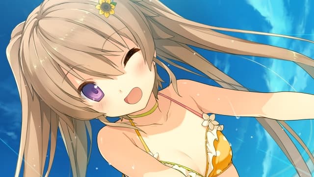 图片[6]- 【Switch】苍之彼方的四重奏 EXTRA2S-60帧-日文- 关先生资源站