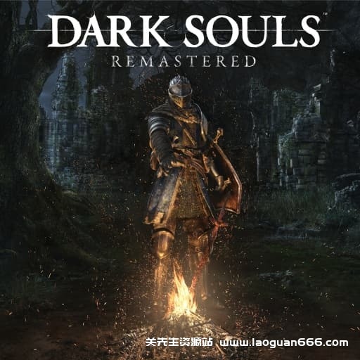 【Switch】黑暗之魂：重制版-v1.0.3-30帧-开头走一段路画面就正常啦- 关先生资源站