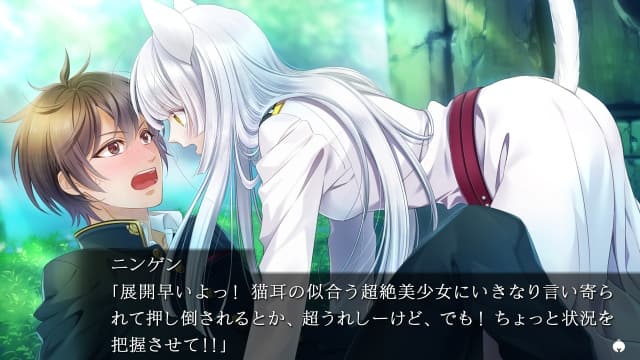 图片[2]- 【Switch】穿军靴的猫-60帧-日文- 关先生资源站