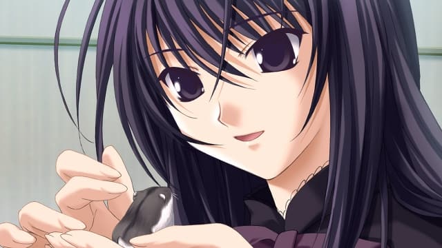 图片[3]- 【Switch】无限轮回 Ever 17-第七夜-无限轮回的终结-60帧- 关先生资源站