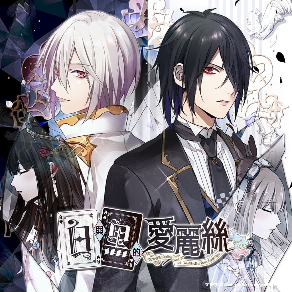 【Switch】白与黑的爱丽丝-30帧- 关先生资源站