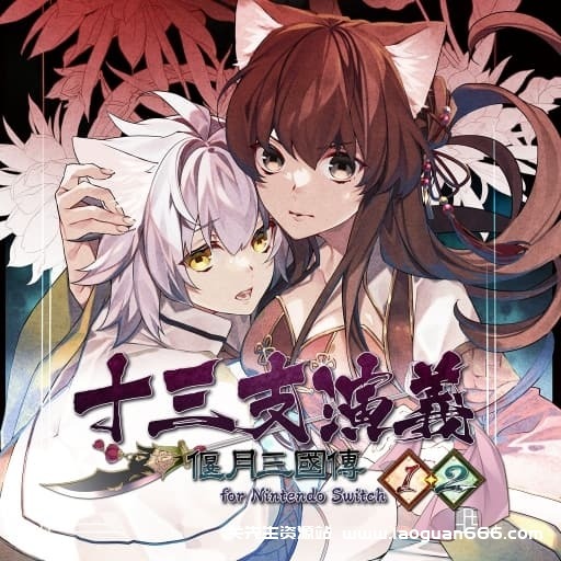 【switch】十三支演义 偃月三国传-60帧- 关先生资源站