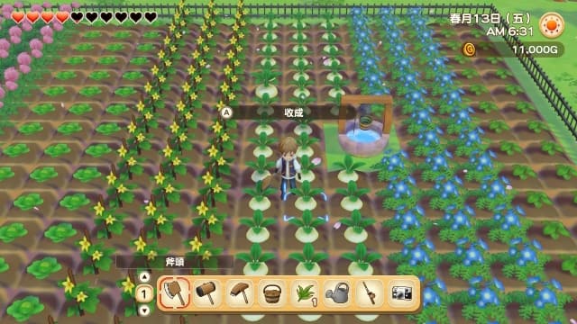 图片[2]- 【Switch】牧场物语：橄榄镇与希望的大地-v1.1.0-60帧- 关先生资源站