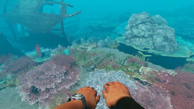 图片[5]- 【Switch】荒岛求生Stranded Deep-v1.03-60帧-附汉化补丁- 关先生资源站