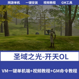 《圣域之光-开天OL》珍藏超稀有网单 VM一键单机端+GM命令教程- 关先生资源站