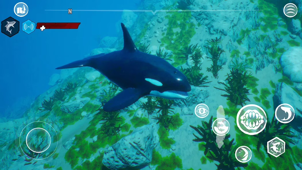 图片[3]- 安卓手机游戏《食人鲨Maneater》[完整版]Steam移植最新移植3A大作开放世界RPG游戏游玩推荐！- 关先生资源站