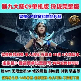 《第九大陆》单机版C9完整五职业怀旧版本游戏送GM工具刷物品金币时装- 关先生资源站