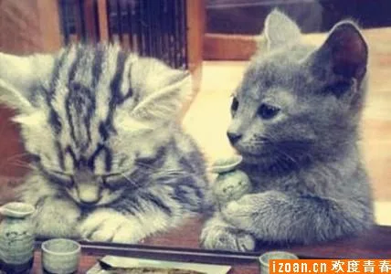 yyl527131的头像- 关先生资源站