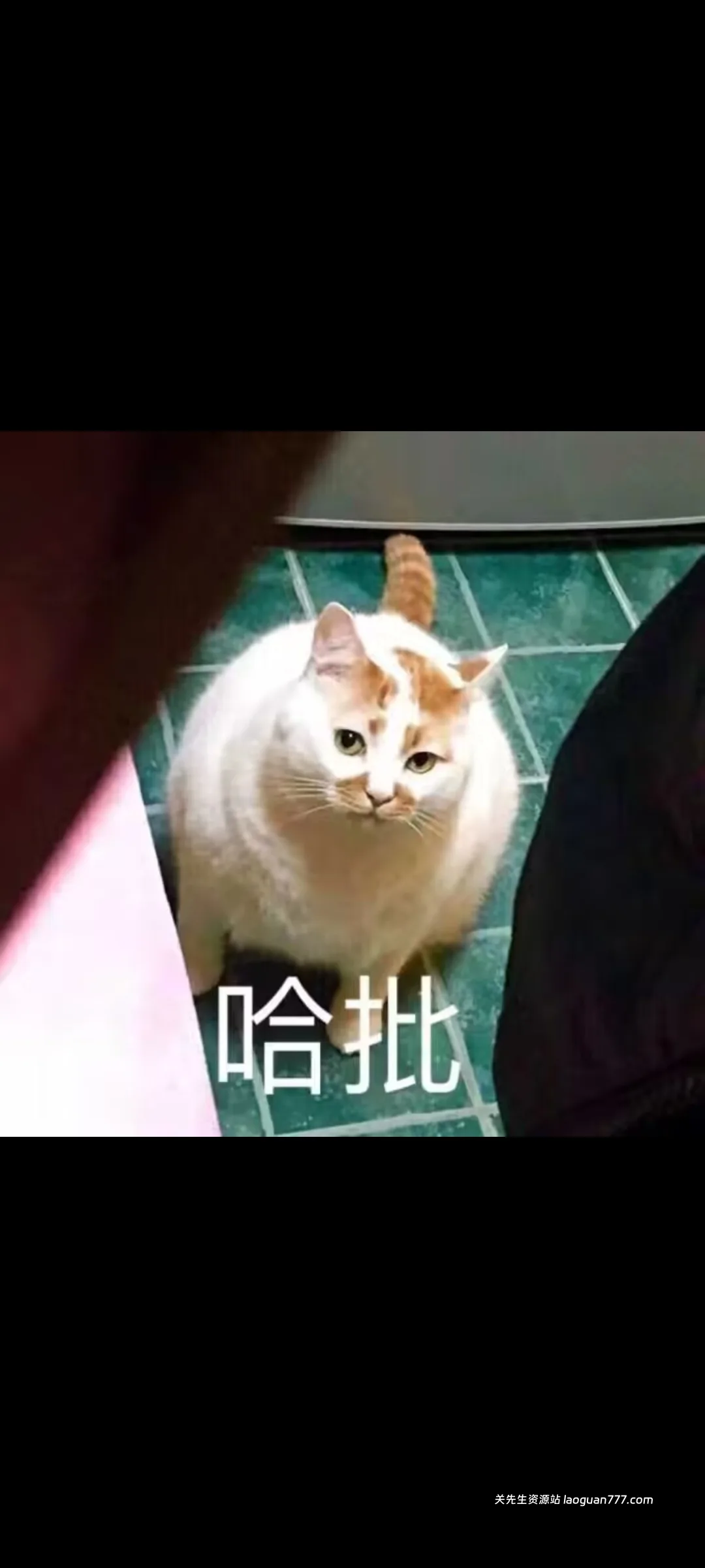梦清幽°的头像- 关先生资源站